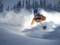 开云足球直播-雷霆巅峰对决，独行侠胜出的背后，武切维奇如何成为关键先生？